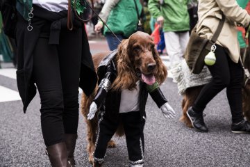 Humans weren't the only ones having fun that day — many owners brought their dogs out to play