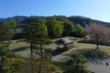 Beautiful view of the park