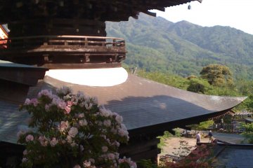 The tahoto pagoda overlooking the valley