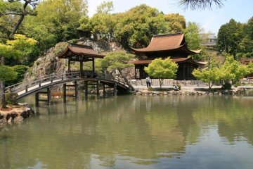Tranquility at Zen temple, Eiho-Ji