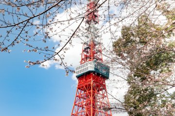 Top 5 Things to Do in Shiba