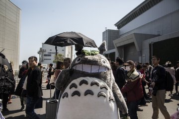 Totoro Cosplay