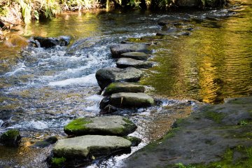 This creek is formed by spring water that feeds the Shira River