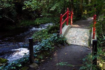 Then you take a short walk through the forest