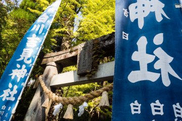 A ginko tree next to the torii has added some color too