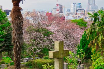 Foreign Cemetery