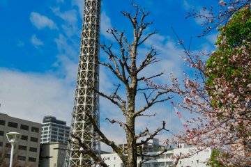 Marine Tower