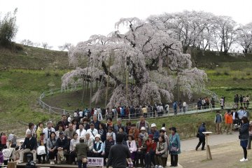Local tourists pose for the almost obligatory souvenir shot