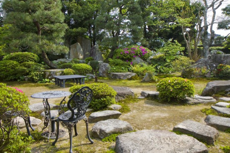 View from the cafe into the courtyard garden