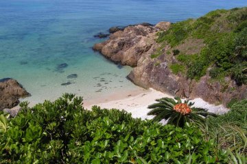 Unspoiled Paradise Ishigaki Island