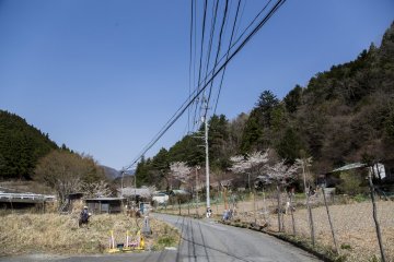 Only one road leads up the mountain and if you drive far enough, you will end up in Nagoro.