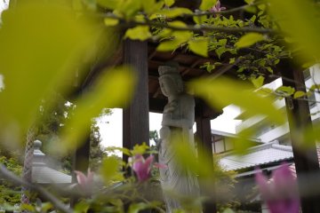 Looking through the magnolia tree at one of the many statues