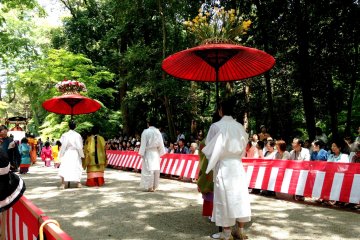 Aoi Matsuri Festival