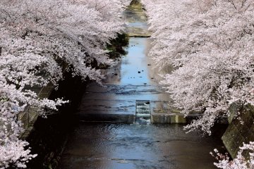 Machida