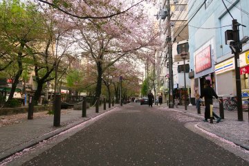 Pink is the new black