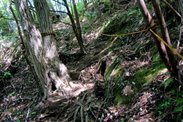 And other parts very steep