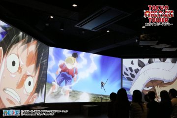 Luffy vs Law!