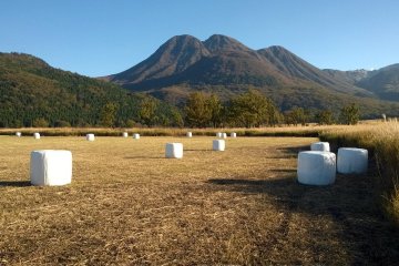 It's early November; hay is being packed for winter on the fields