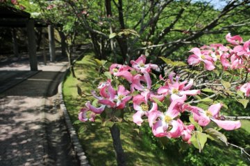 Each season brings a different selection of flowers