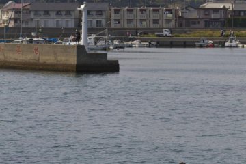 A fisherman just outside of the harbor