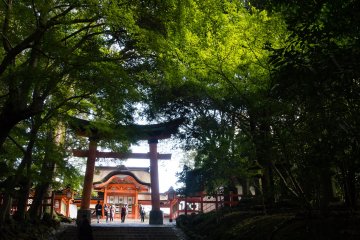 And now I'm climbing the set of stairs leading to the main shrine; another torii