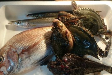 Local catch in Beppu, including the devilstinger. (Never handle one of these; the spines are extremely poisonous.)