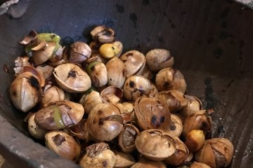 Roasted ginko, a delectable appetizer!