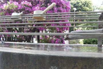<p>Nature, simplicity and beauty. Staples of Buddhism.</p>