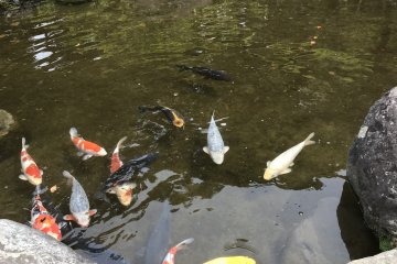 Pond of spring water in Kakita River Park