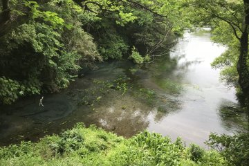 Kakita River, a nationally designated natural monument