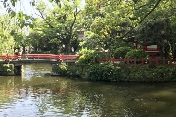 Peaceful pond in Mishima Taisha Shrine