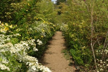 The temple is a straight walk up some stairs, or take a left to explore a garden path. The flowers really come alive in the spring time.