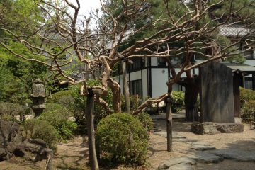 At the top of the stairs is the front of the temple and a beautiful garden. The main garden, however, is on the other side of the temple.