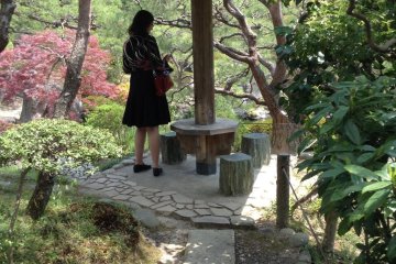Many benches and tables provide a shady place to rest and take in the view.