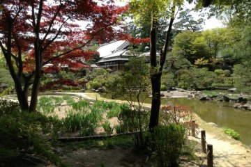 Walking through the garden you forget outside the temple gates is a modern and thriving city. Enjoy the moment.