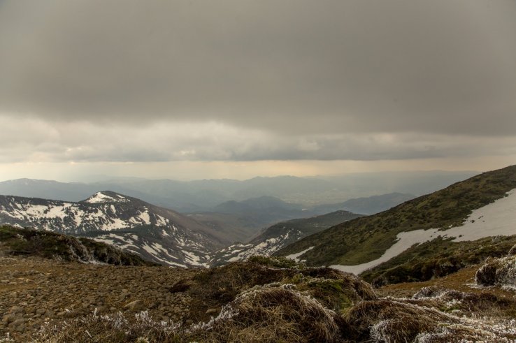 Cloudy days tend to be dreary but with some editing and the right framing, you can improve the quality of your photo