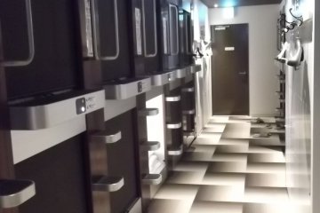 The mens' capsule area