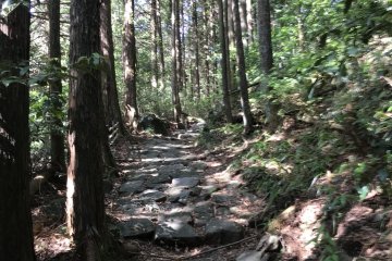 The stone-paved road