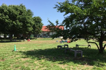Kato Dairy Farm
