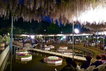 Everyone seems to be impressed by the silent beauty of the light-up