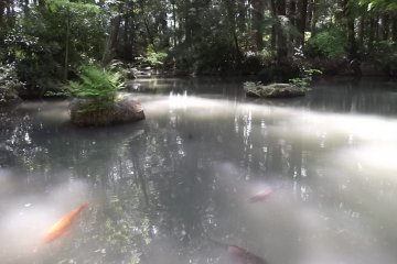 Hotaka-jinja Shrine in Azumino