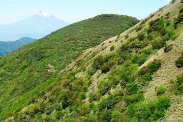 View of Mt. Fuji from the summit