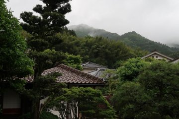 A walk in the mansion's surrounding garden