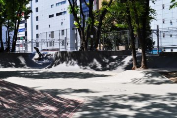 Miyashita skatepark