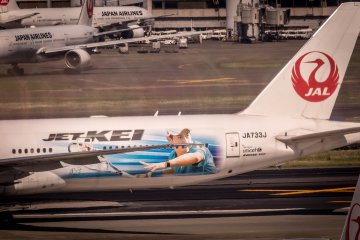 A specially decorated airplane featuring Japan’s number one male tennis player, Nishikori Kei