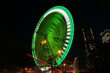 <p>The neon green is mesmerizing</p>