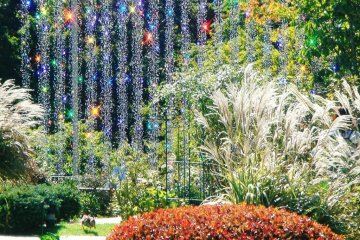 One of the seasonal glass outdoor exhibits