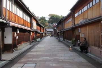 The main street of Higashi Ochaya