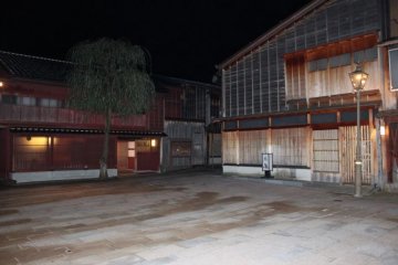 The solitary willow at night