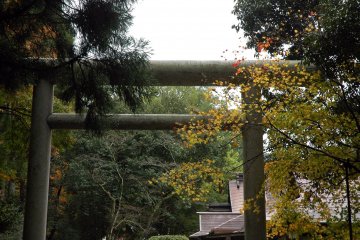 Torii gates at the entrance to the shrine complex